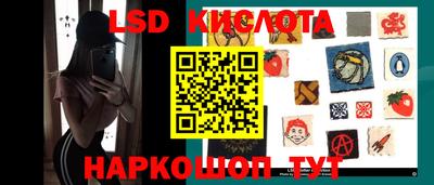 стаф Кунгур