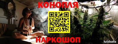 стаф Кунгур