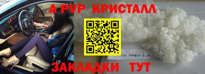 стафф Лесосибирск