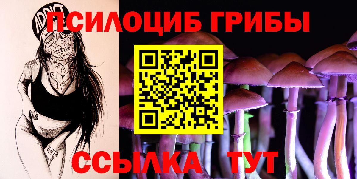 Галлюциногенные грибы Magic Shrooms Зеленодольск