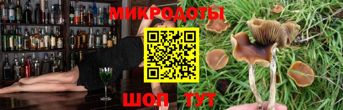 Зеленодольск  Галлюциногенные грибы Psilocybe  Псилоцибиновые грибы Magic Shrooms  Вход с VPN 